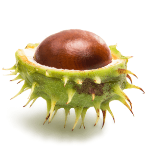 Organic Horse-Chesnut