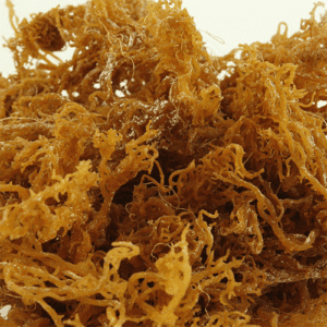Organic Irish Moss
