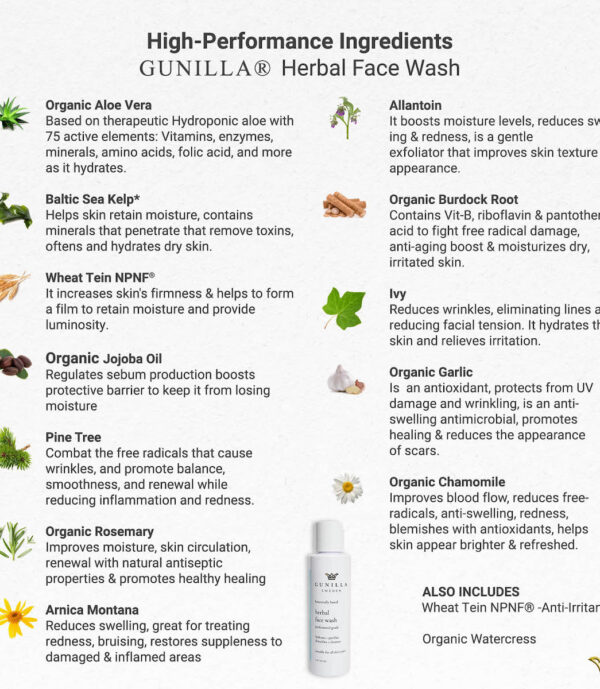Whats Inside GUNILLA Herbal Face Wash-1200px